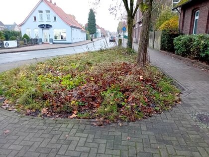 Rosenbeet 2 vorher 2