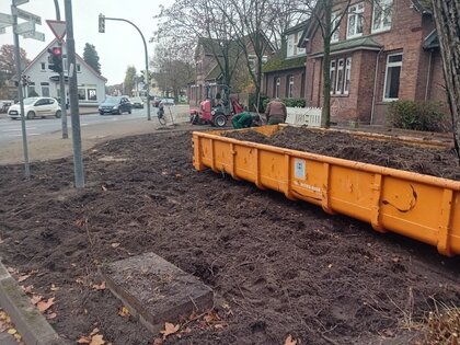 Rosenbeet 3 Vorbereitung